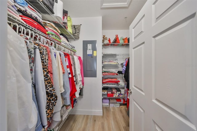 spacious closet featuring electric panel and wood finished floors