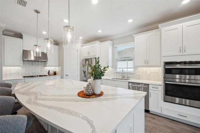 kitchen with visible vents, a sink, a center island, ventilation hood, and appliances with stainless steel finishes