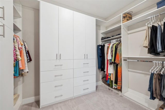 spacious closet with light carpet