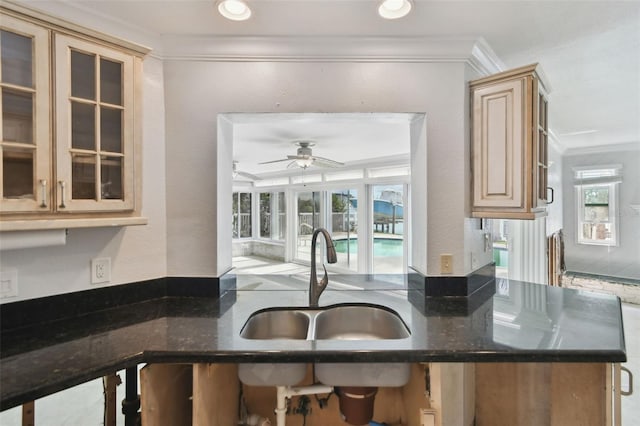 kitchen with a sink, a healthy amount of sunlight, a ceiling fan, and ornamental molding