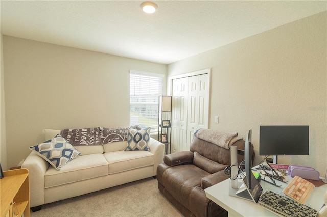 view of carpeted living area