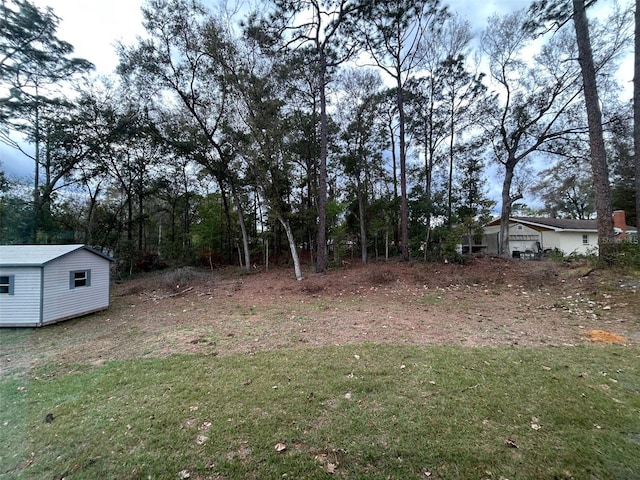 view of yard with an outdoor structure