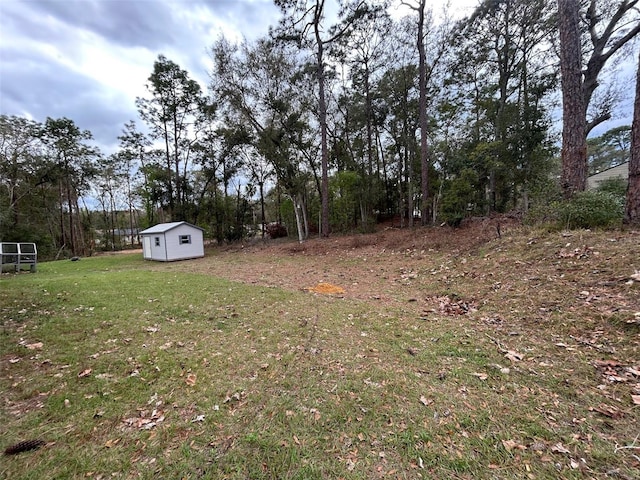 view of yard with a storage unit and an outdoor structure