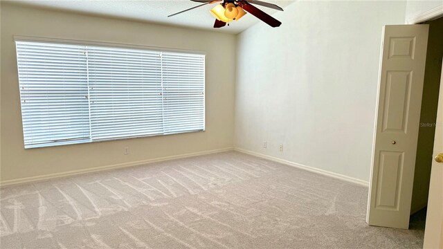 4133 Bismarck Palm Dr, Tampa, FL 33610 - photo 18