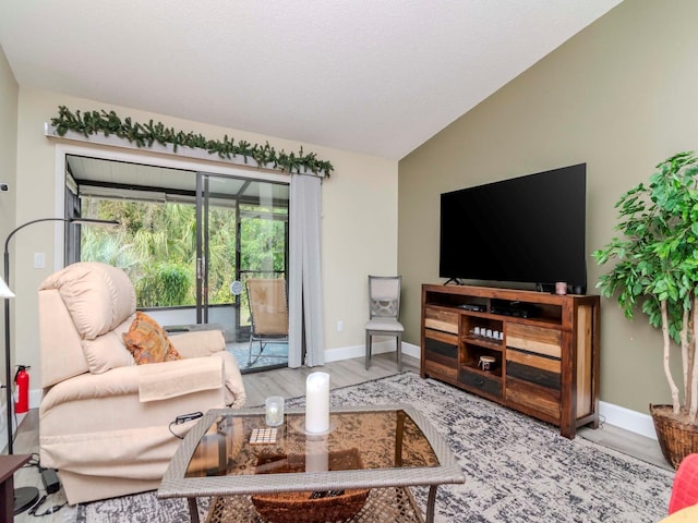 5100 Burchette Rd Unit 500, Tampa, FL 33647 - living area with vaulted ceiling, baseboards, and wood finished floors