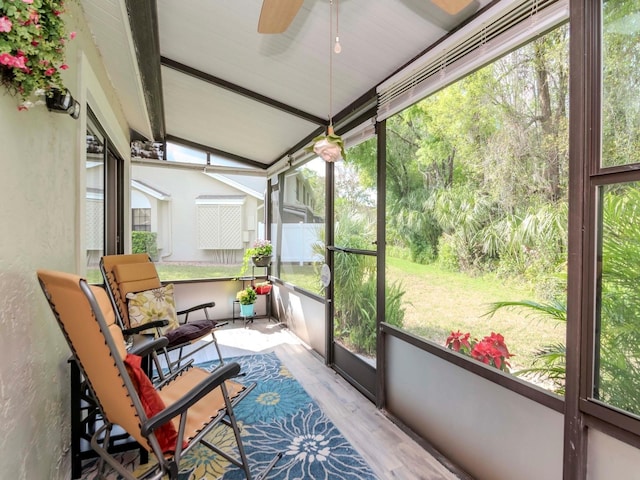 5100 Burchette Rd Unit 500, Tampa, FL 33647 - sunroom with a ceiling fan