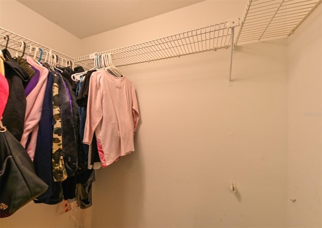 view of walk in closet