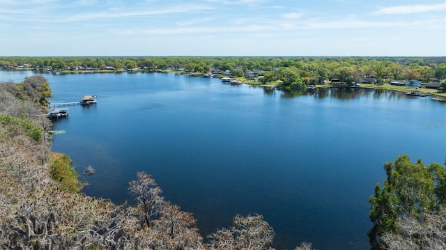 aerial view with a view of trees and a water view