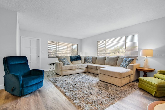 living room featuring baseboards, a textured ceiling, and wood finished floors