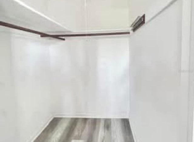 walk in closet featuring wood finished floors