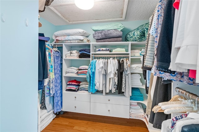 walk in closet with wood finished floors