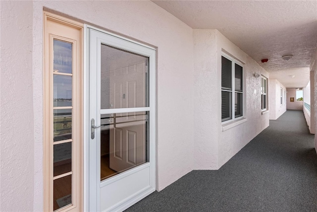 doorway to property with stucco siding