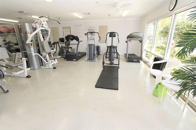 exercise room with crown molding