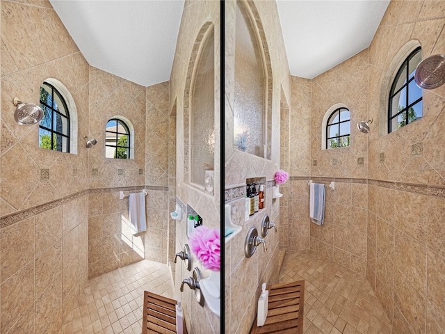 full bathroom featuring a wealth of natural light and walk in shower