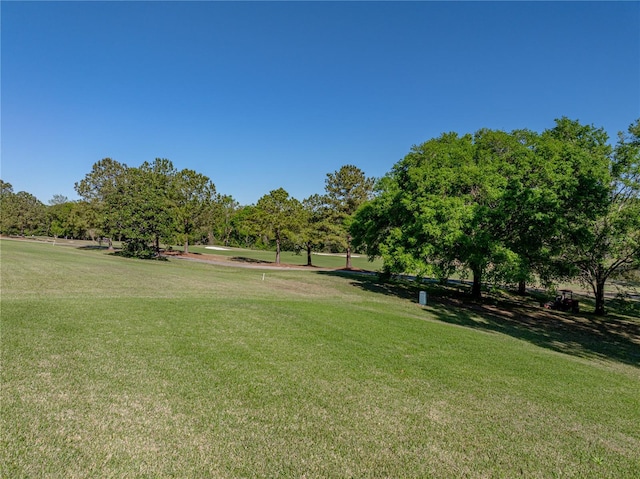 view of property's community with a yard