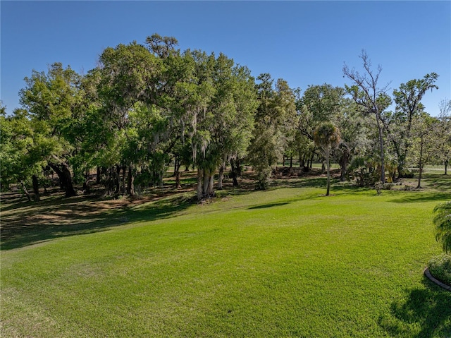 view of community featuring a yard