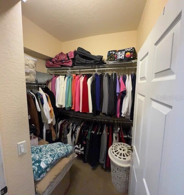 walk in closet featuring carpet flooring