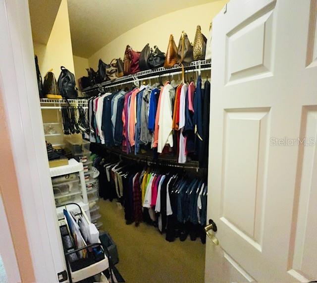 spacious closet with carpet floors