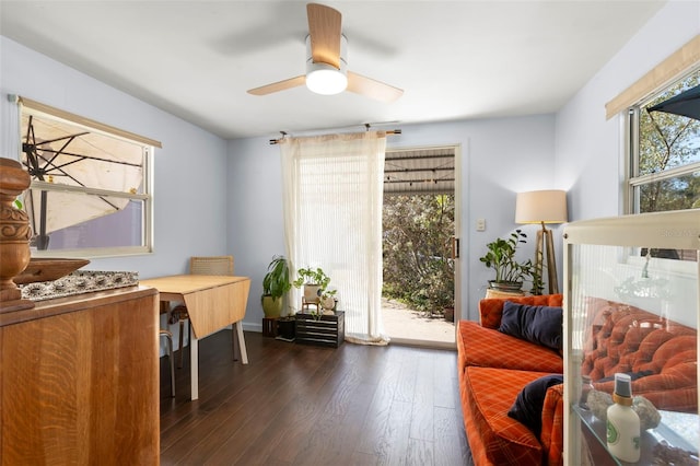 office space featuring dark wood-type flooring and a ceiling fan