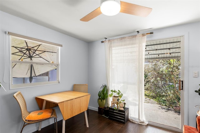 home office featuring a ceiling fan and wood finished floors