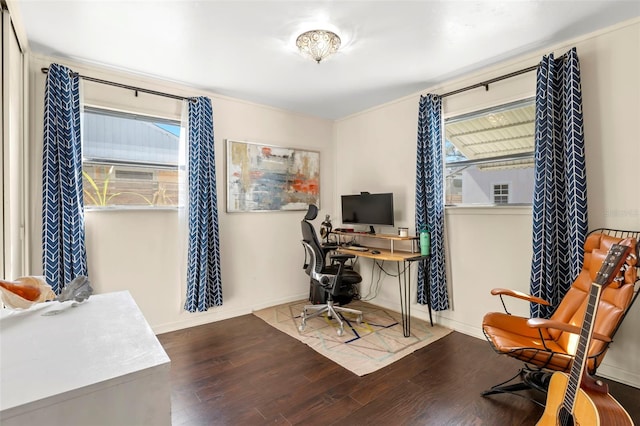 office space with a healthy amount of sunlight, baseboards, and wood finished floors