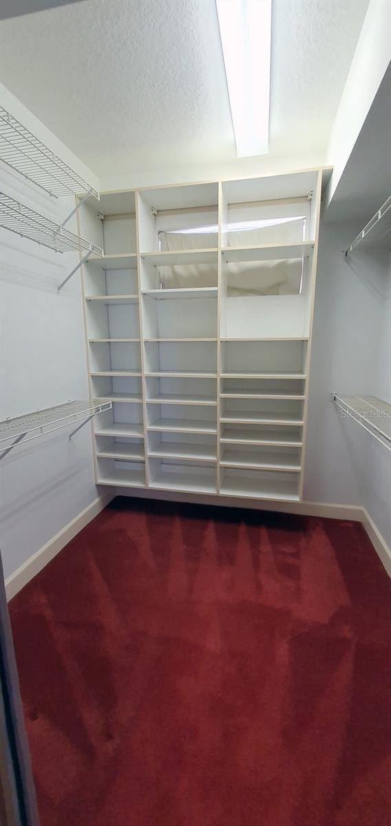 7279 Maidencane Ct, Seminole, FL 33777 - spacious closet with carpet