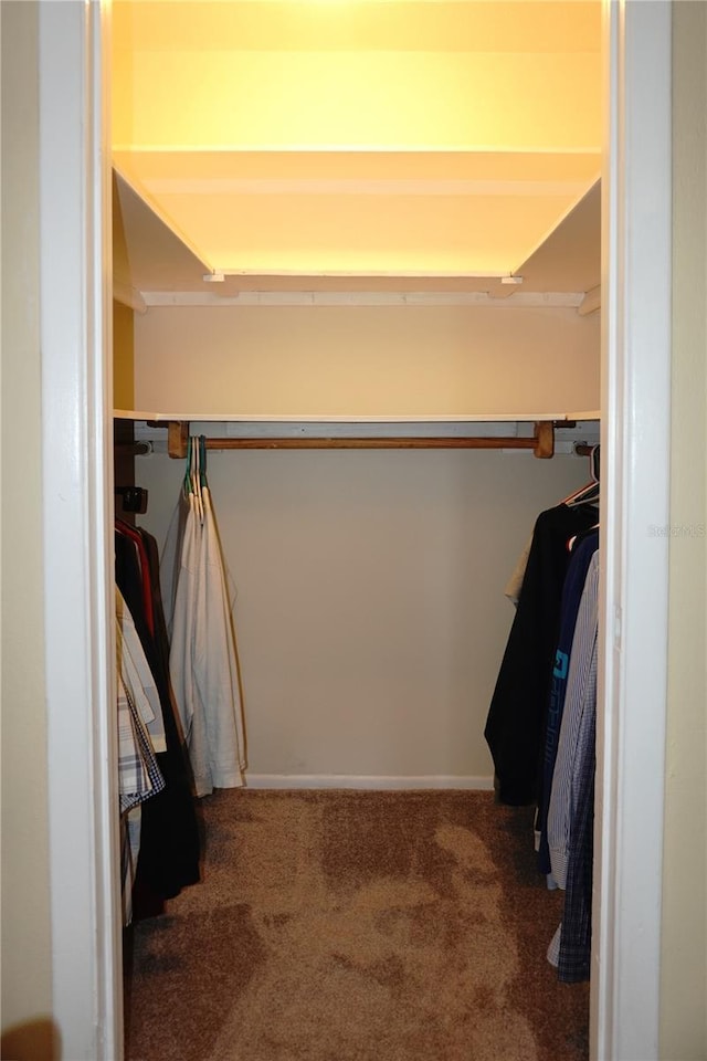 walk in closet featuring carpet floors