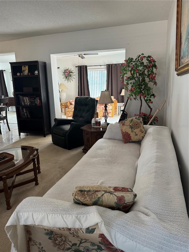 carpeted living area featuring a textured ceiling