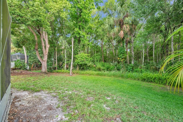 5014 Sterling Manor Dr, Tampa, FL 33647 - view of green lawn