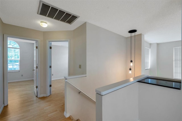 5014 Sterling Manor Dr, Tampa, FL 33647 - hall featuring light wood-type flooring, baseboards, a textured ceiling, and an upstairs landing