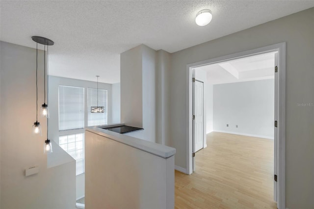 5014 Sterling Manor Dr, Tampa, FL 33647 - hallway featuring light wood-style flooring, a textured ceiling, a chandelier, and baseboards