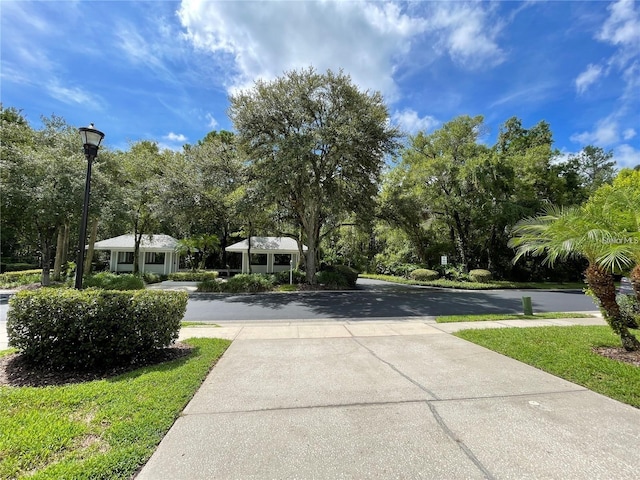 5014 Sterling Manor Dr, Tampa, FL 33647 - view of concrete surface featuring street lighting and view of scattered trees