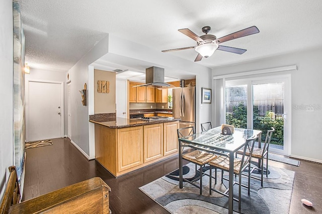 kitchen featuring light brown cabinetry, appliances with stainless steel finishes, island exhaust hood, and ceiling fan