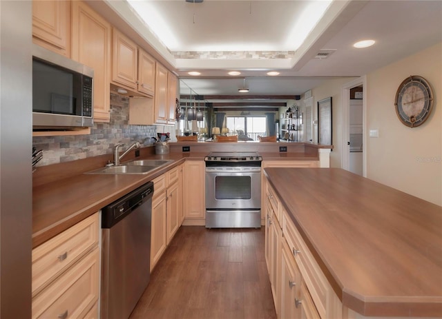 kitchen with wooden counters, a peninsula, a tray ceiling, a sink, and appliances with stainless steel finishes