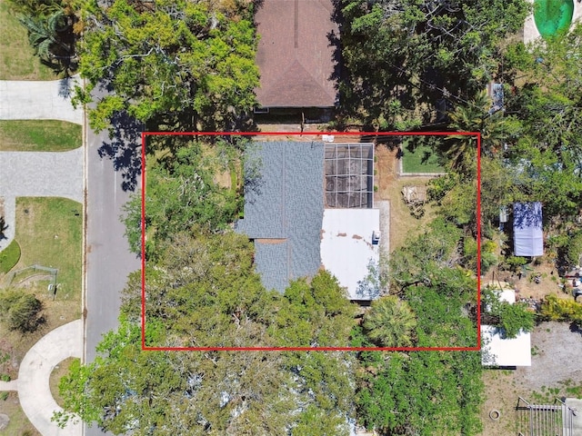 3609 S Omar Ave, Tampa, FL 33629 - photo 4