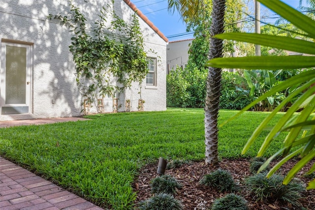 54 Aegean Ave, Tampa, FL 33606 - photo 72