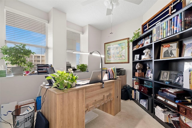 1200 Country Club Dr Unit 3303, Largo, FL 33771 - carpeted office with a textured ceiling and a ceiling fan