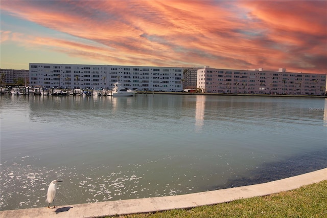 water view featuring a view of city