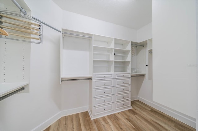 2234 Nottingham Greens Dr Unit 2234, Sun City Center, FL 33573 - walk in closet with light wood-type flooring