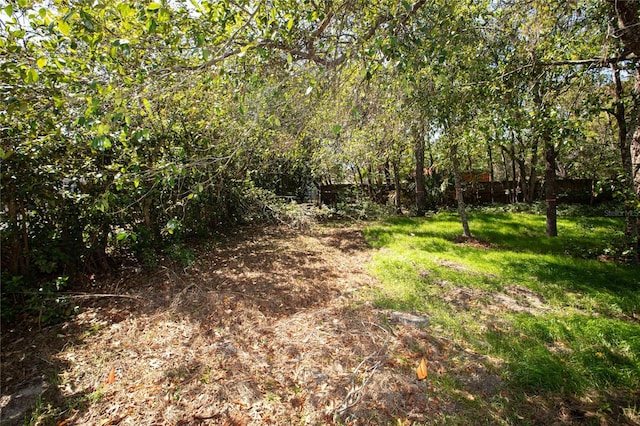 9445 Eldridge Rd, Spring Hill, FL 34608 - view of yard with a view of trees