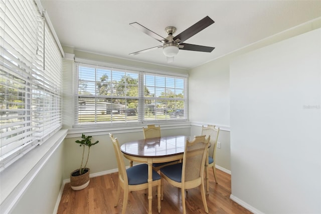 dining room with a wealth of natural light, wood finished floors, and a ceiling fan