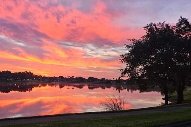 5123 Whispering Leaf Trl, Valrico, FL 33596 - water view