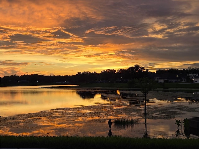 5123 Whispering Leaf Trl, Valrico, FL 33596 - water view
