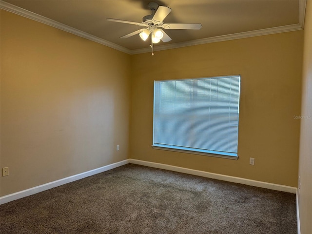 18575 Bridle Club Dr Unit 18575, Tampa, FL 33647 - spare room featuring baseboards, carpet, ceiling fan, and crown molding