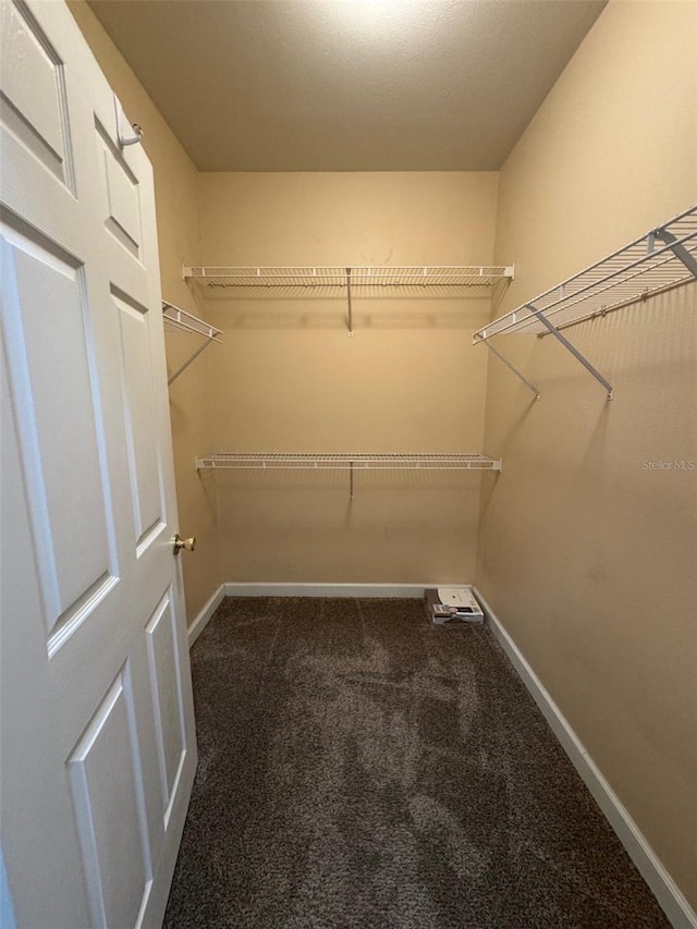 18575 Bridle Club Dr Unit 18575, Tampa, FL 33647 - walk in closet featuring carpet floors
