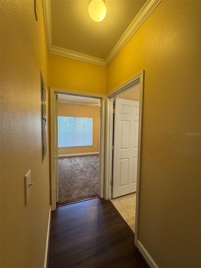18575 Bridle Club Dr Unit 18575, Tampa, FL 33647 - hallway with crown molding, wood finished floors, and baseboards