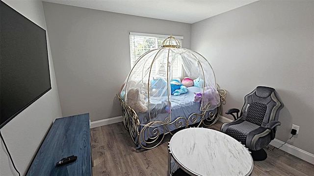 25631 Bruford Blvd, Land O Lakes, FL 34639 - detailed view of wood finished floors and baseboards