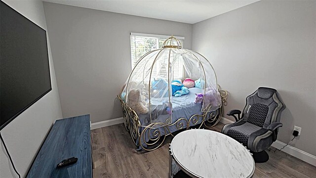 25631 Bruford Blvd, Land O Lakes, FL 34639 - photo 48