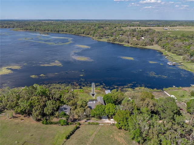 birds eye view of property with a view of trees and a water view