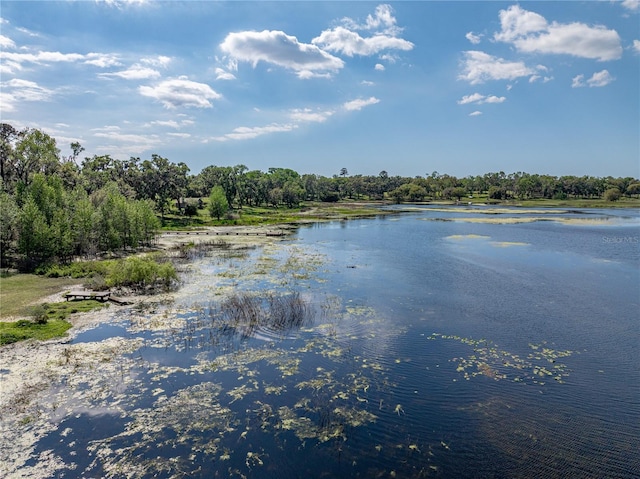 property view of water